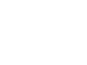 agencia Google Partner