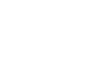 Agencia Meta partner